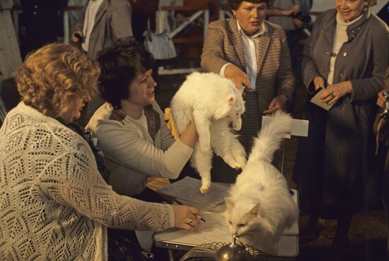 Первая выставка-фестиваль клуба любителей животных "ФАУНА"