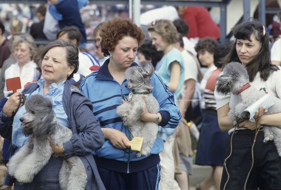 Первая выставка-фестиваль клуба любителей животных "ФАУНА"