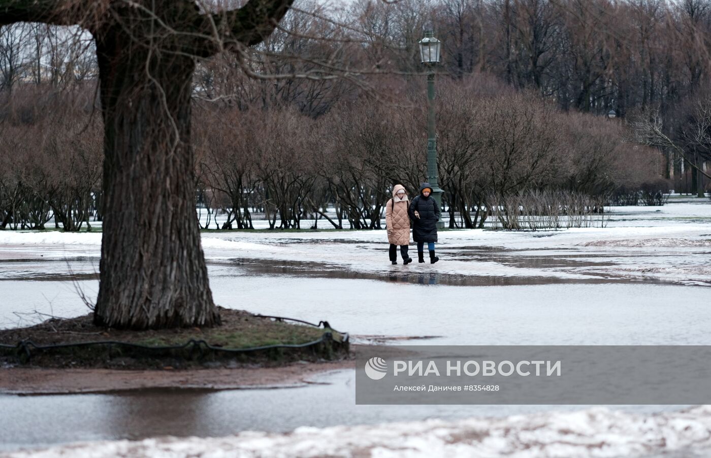 Зимняя оттепель в Петербурге