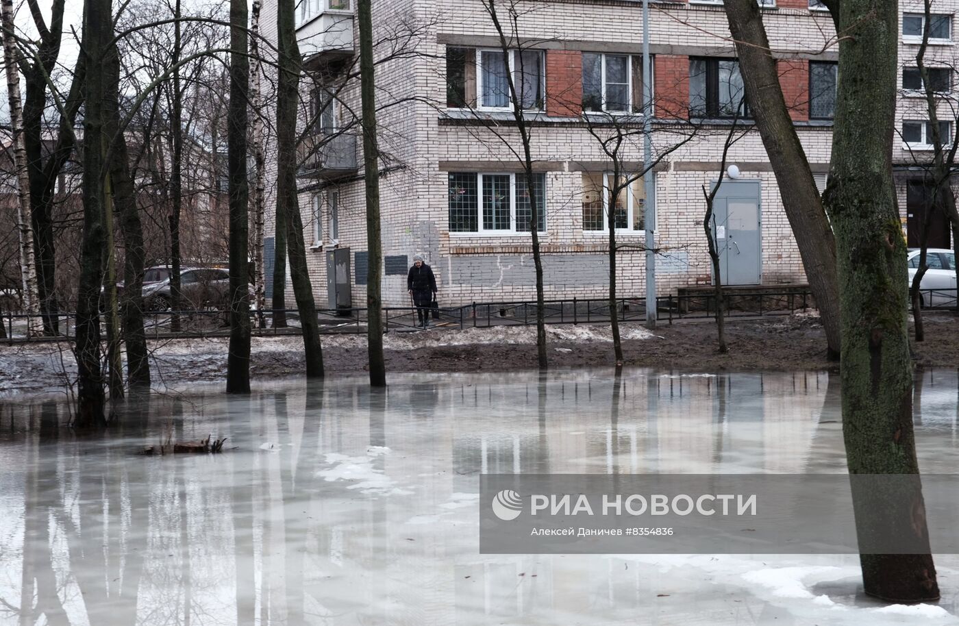Зимняя оттепель в Петербурге