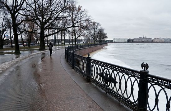Зимняя оттепель в Петербурге