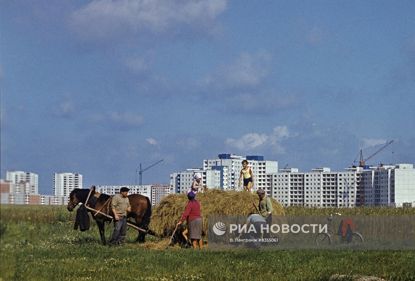 Совхоз "Память Ильича"