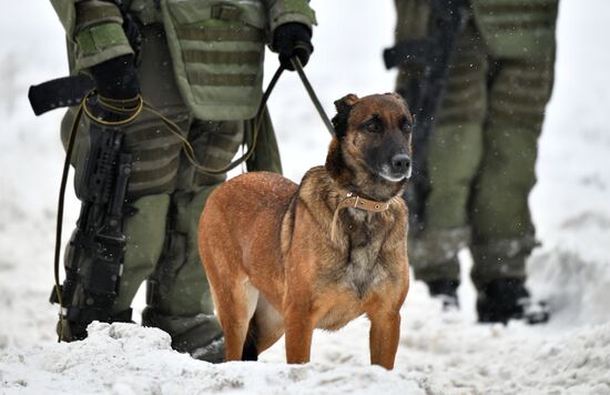 День инженерных войск