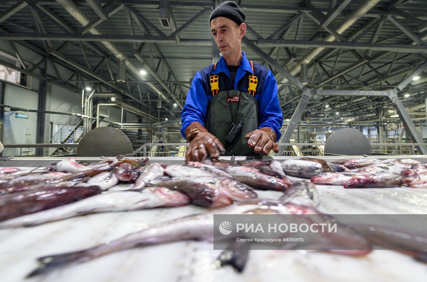 Рыбоперерабатывающий завод на острове Шикотан