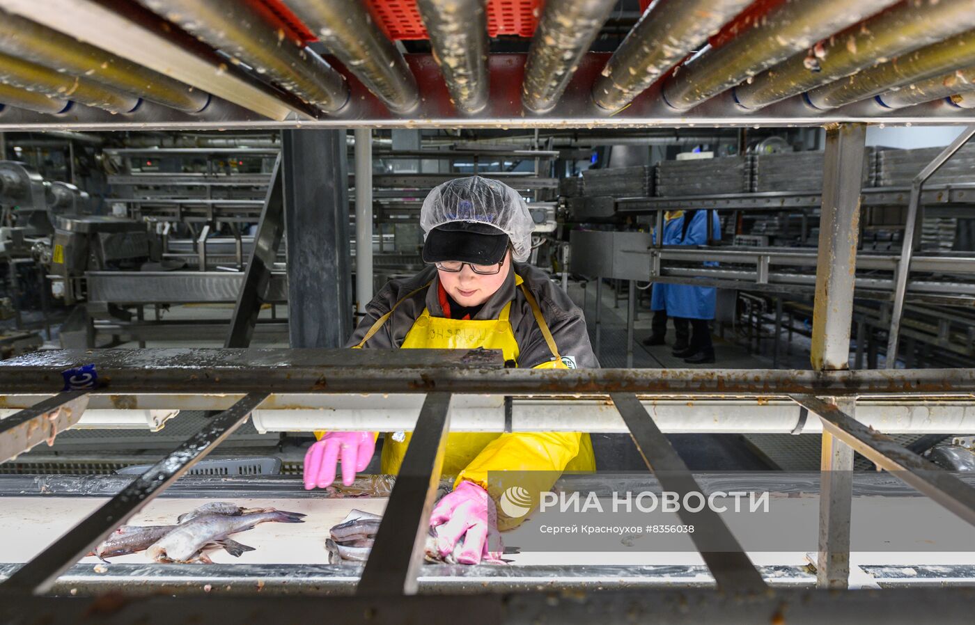 Рыбоперерабатывающий завод на острове Шикотан