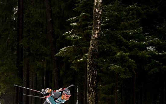 Биатлон. Кубок Содружества. Мужчины. Спринт