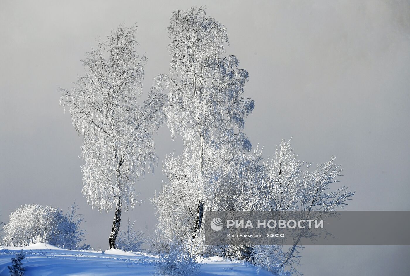 Мороз в Красноярске