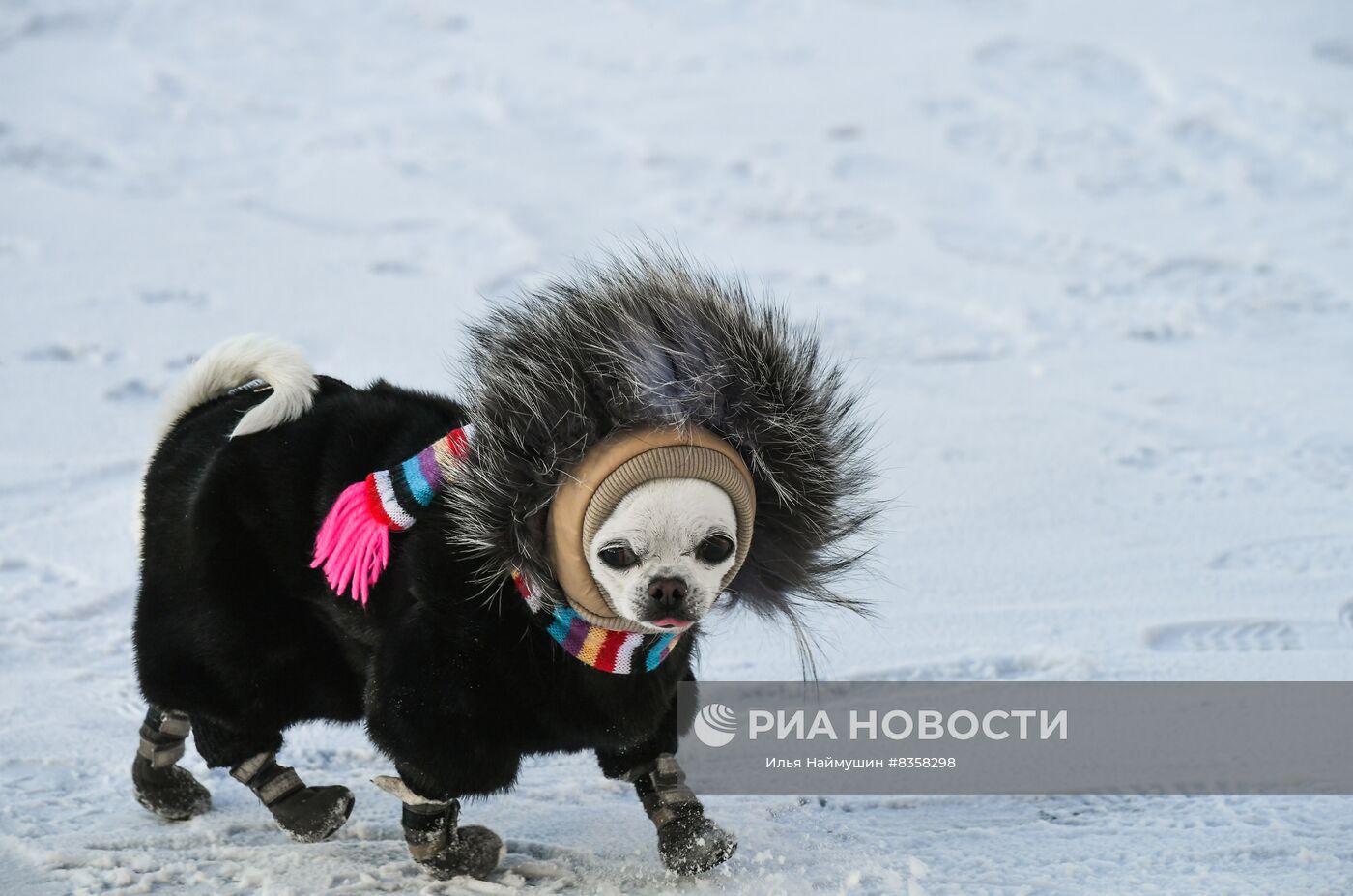 Мороз в Красноярске