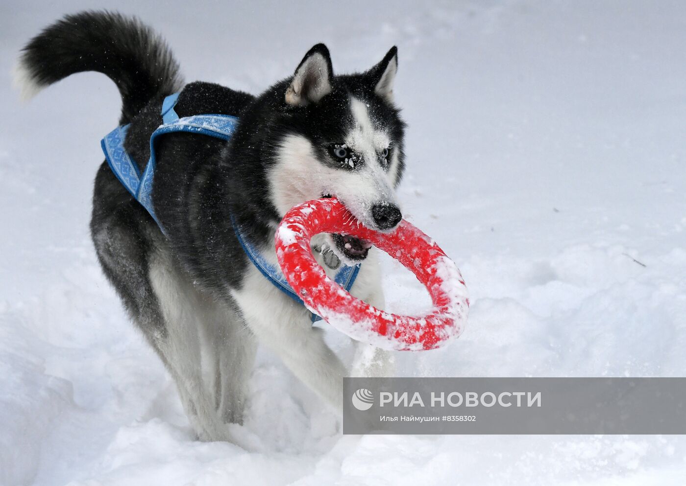 Мороз в Красноярске