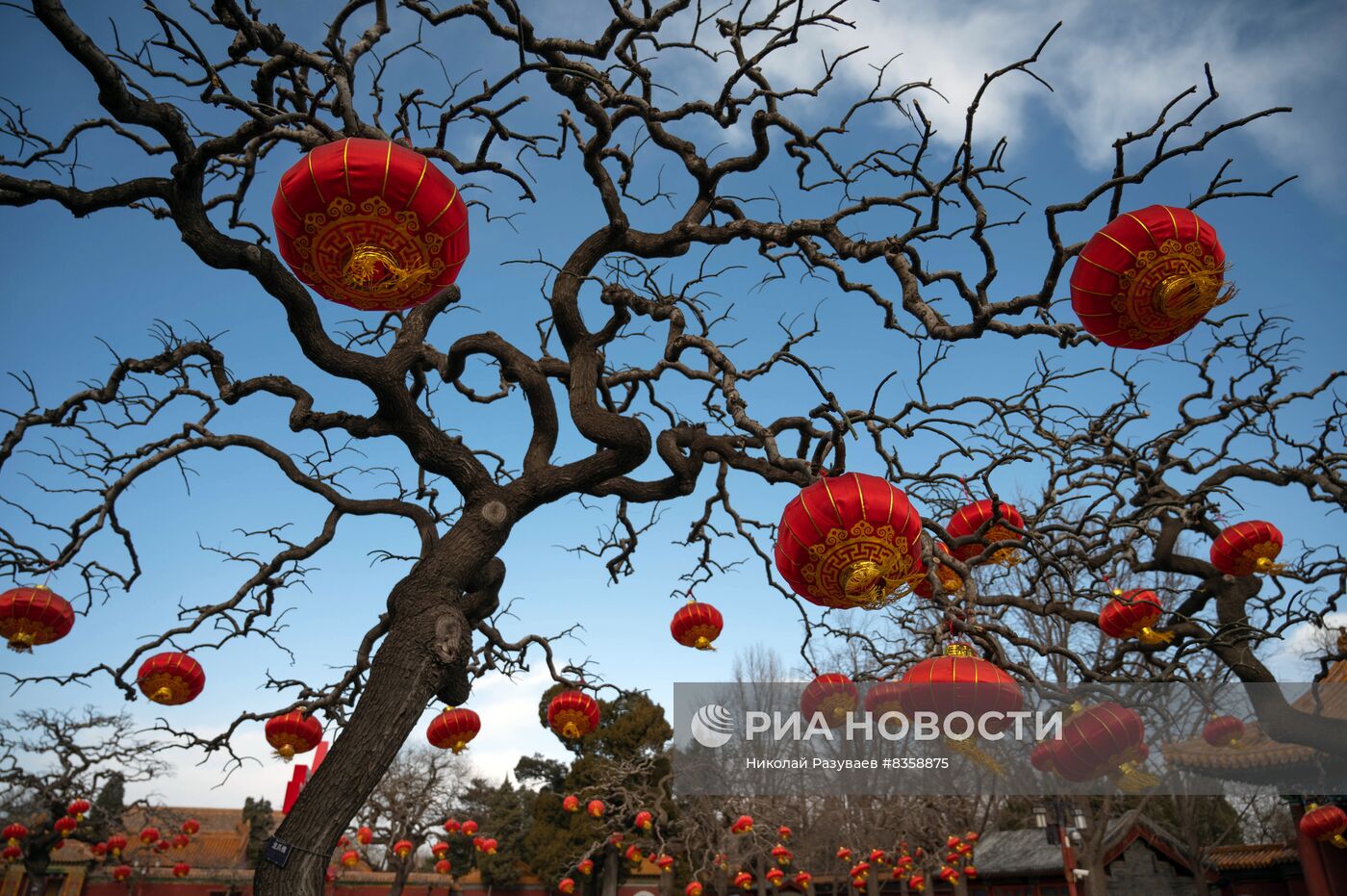 Подготовка к Новому году по лунному календарю в Пекине