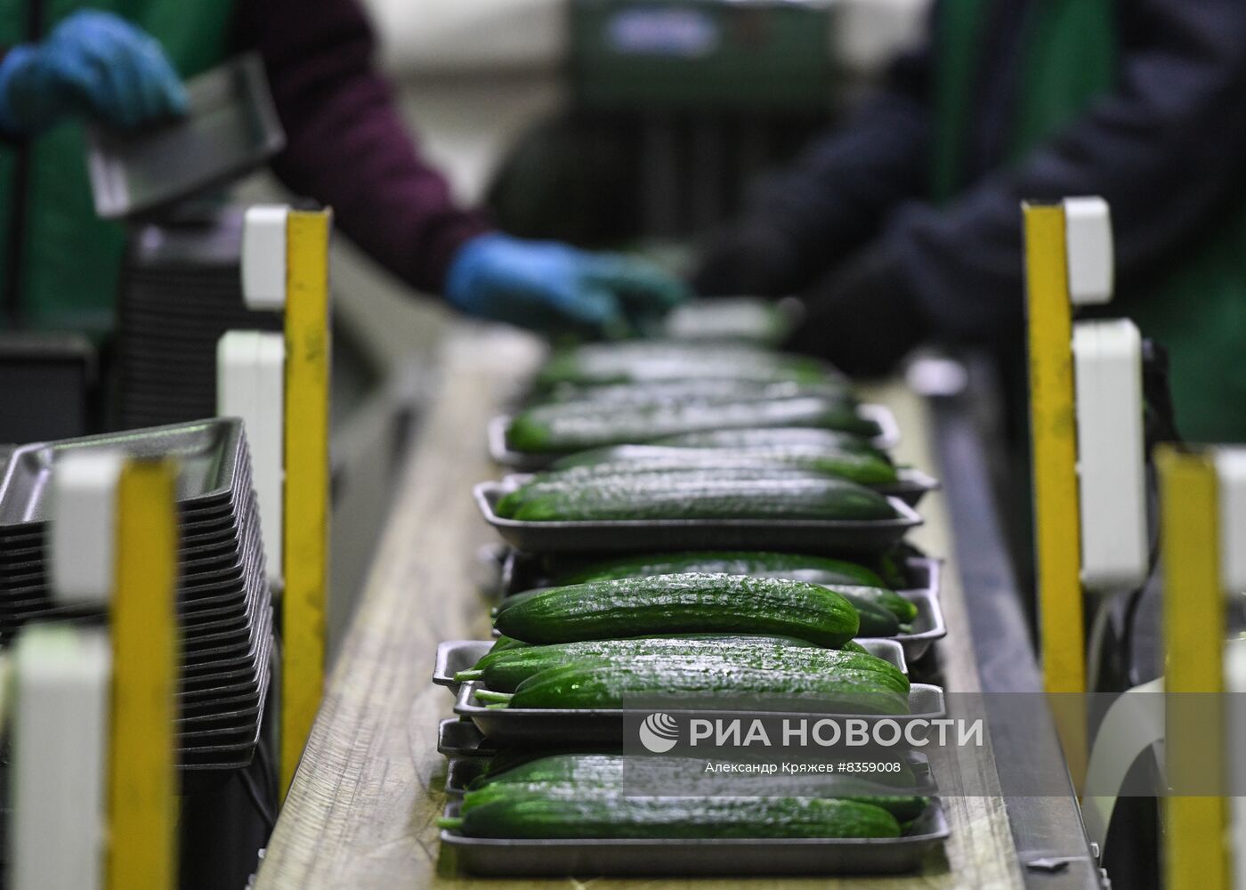 Агрокомплекс "Сады Гиганта" в Новосибирской области