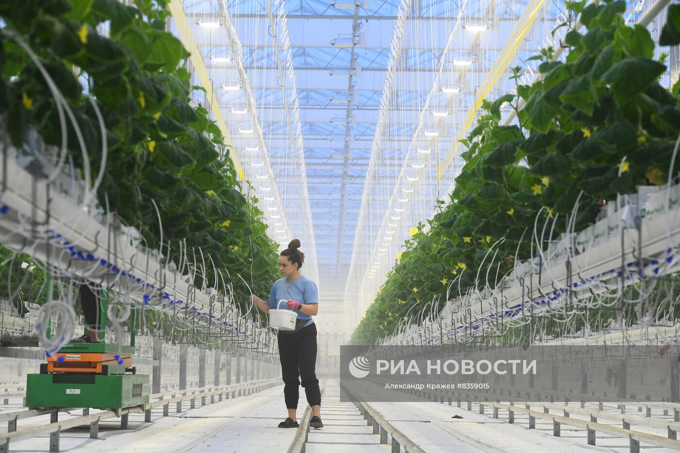 Агрокомплекс "Сады Гиганта" в Новосибирской области