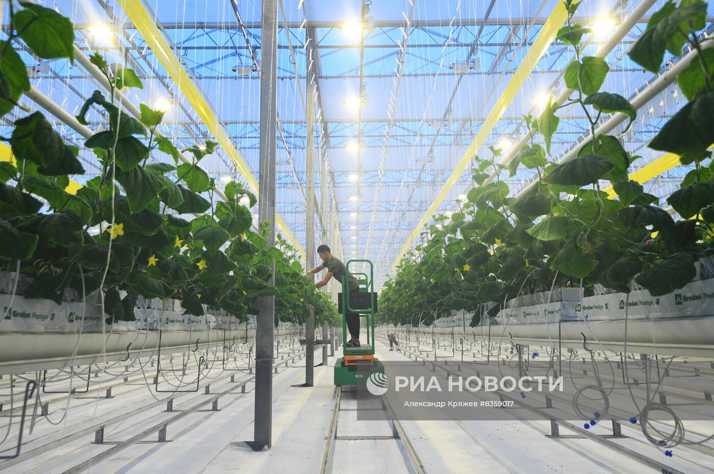 Агрокомплекс "Сады Гиганта" в Новосибирской области