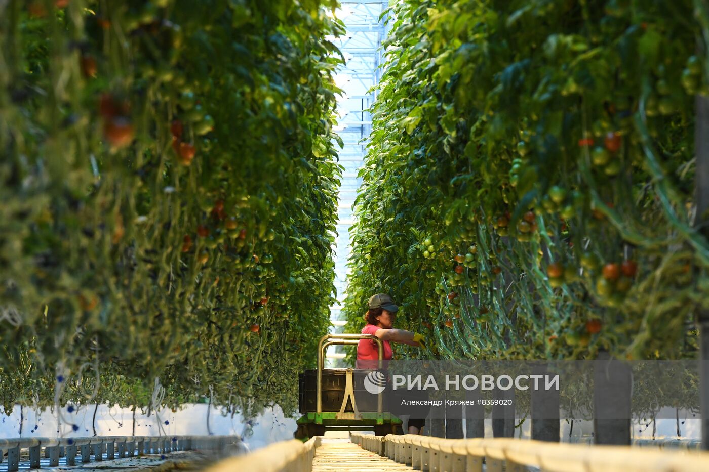 Агрокомплекс "Сады Гиганта" в Новосибирской области