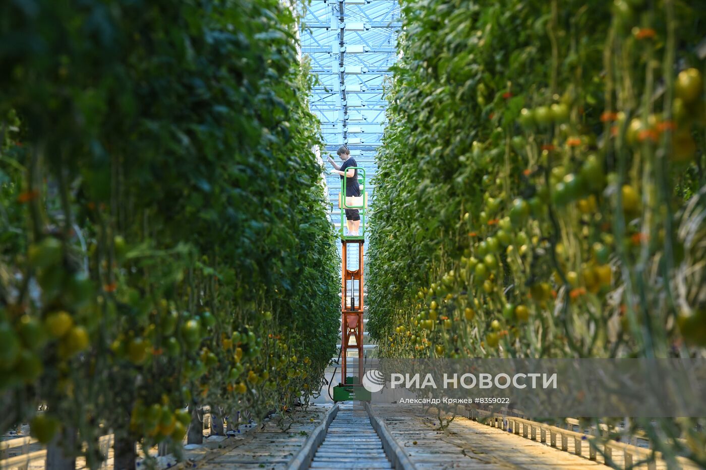 Агрокомплекс "Сады Гиганта" в Новосибирской области