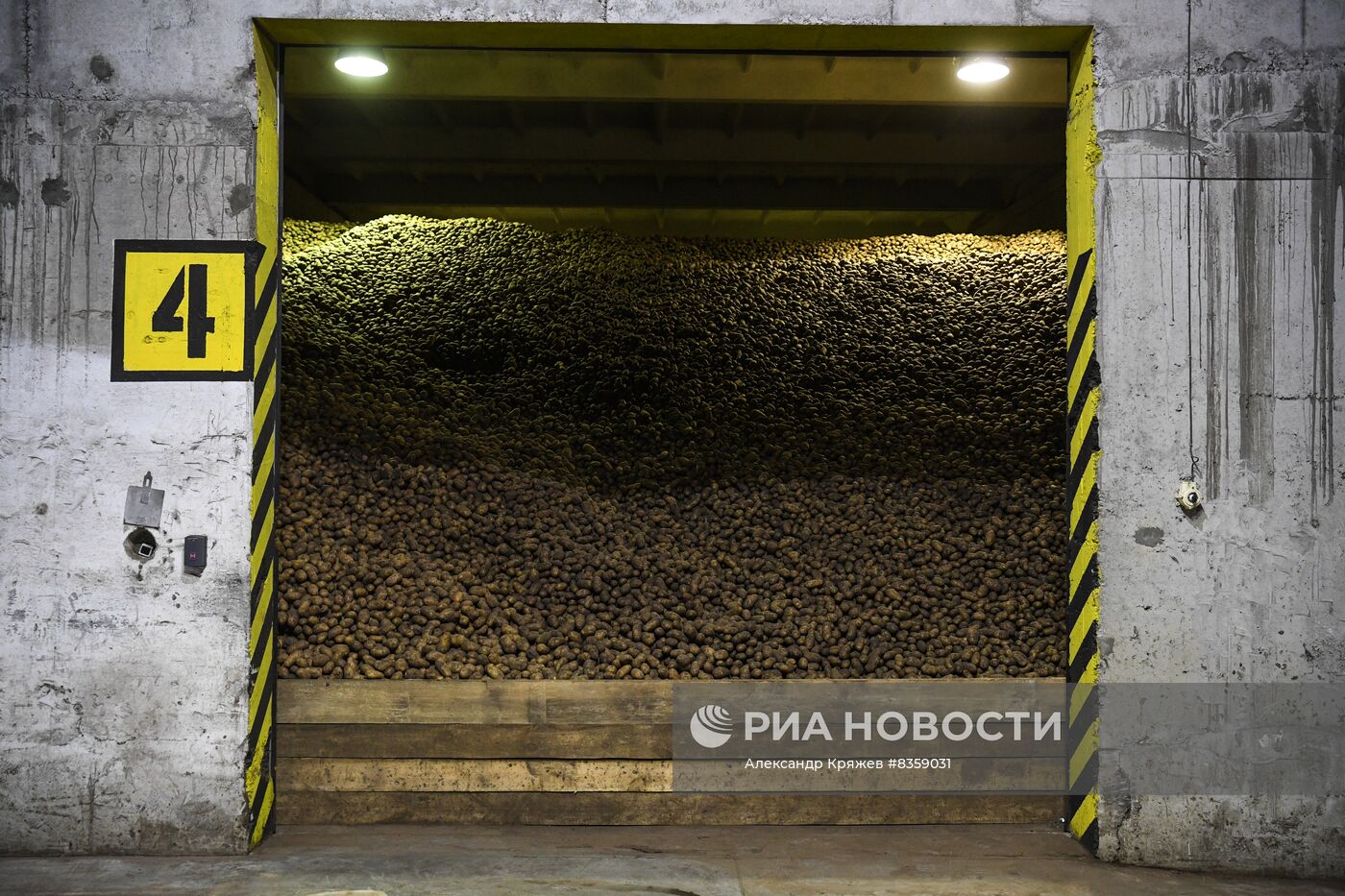 Агрокомплекс "Сады Гиганта" в Новосибирской области