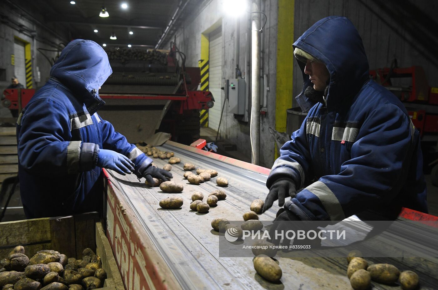 Агрокомплекс "Сады Гиганта" в Новосибирской области
