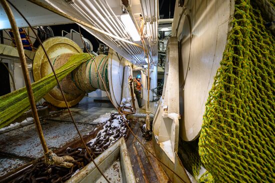 Добыча минтая на Курилах