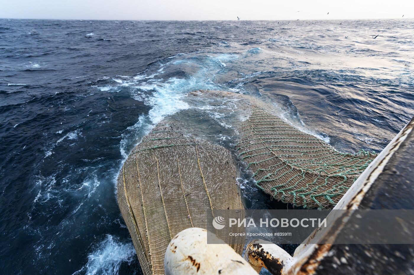 Добыча минтая на Курилах