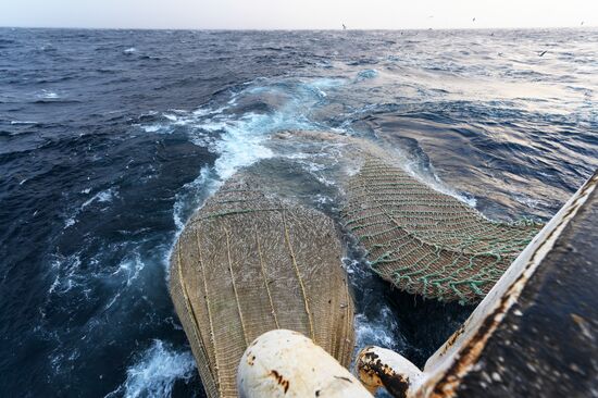 Добыча минтая на Курилах