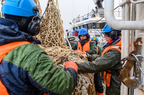Добыча минтая на Курилах
