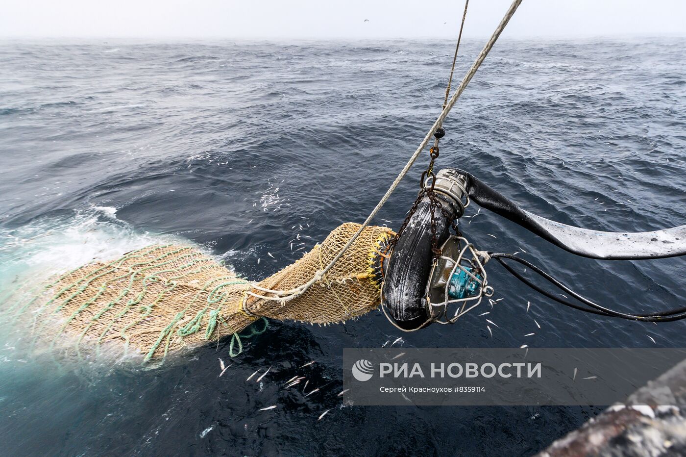 Добыча минтая на Курилах