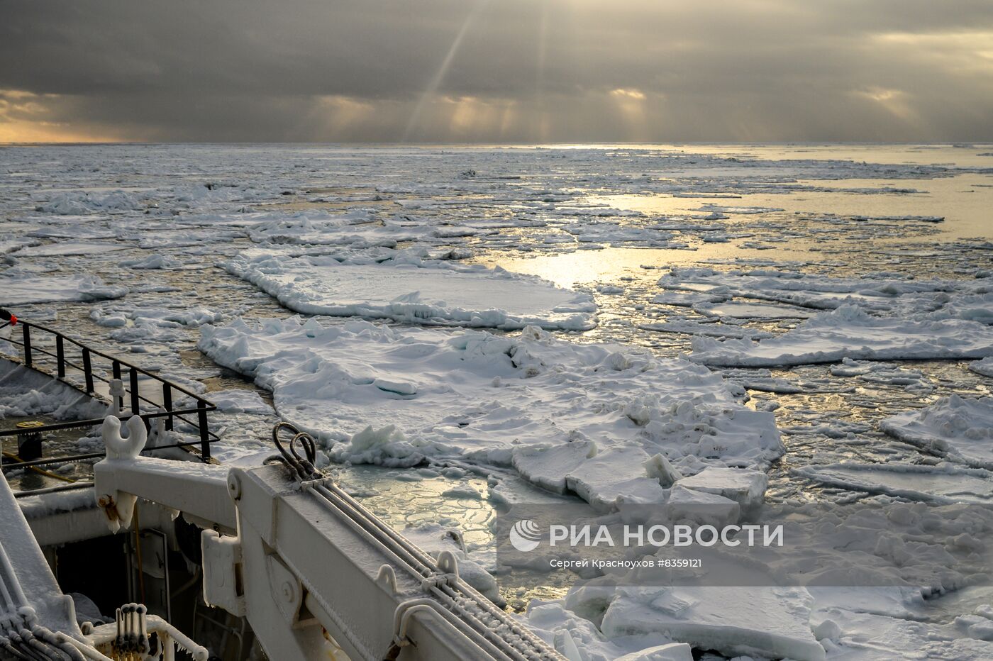 Добыча минтая на Курилах