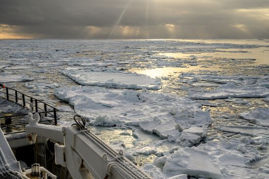 Добыча минтая на Курилах
