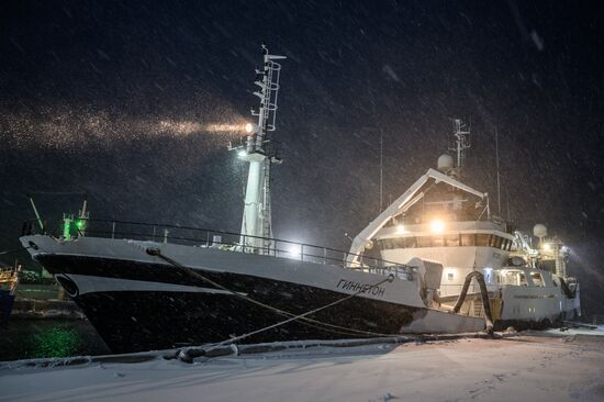 Добыча минтая на Курилах