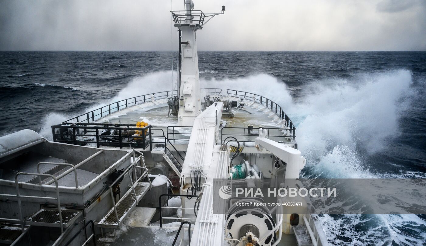 Добыча минтая на Курилах