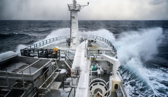 Добыча минтая на Курилах