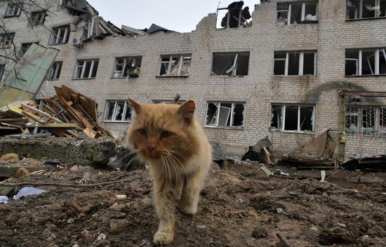 Разрушения в городе Васильевка в Запорожской области
