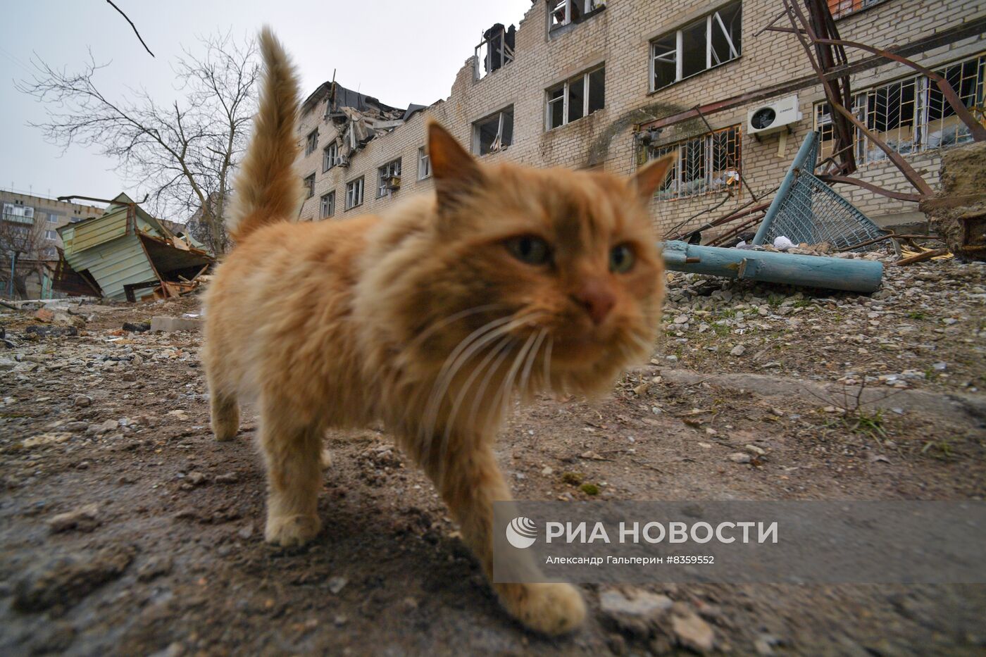 Разрушения в городе Васильевка в Запорожской области