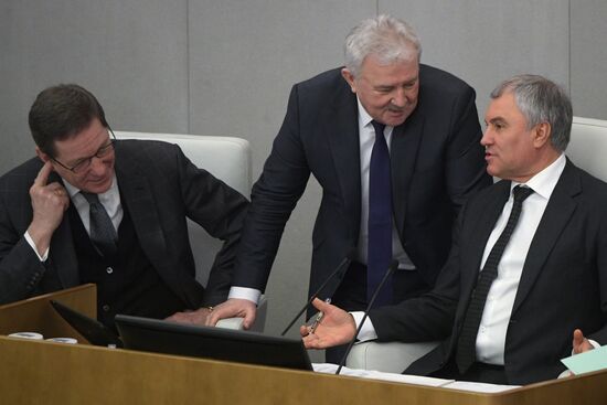 Пленарное заседание Госдумы РФ 