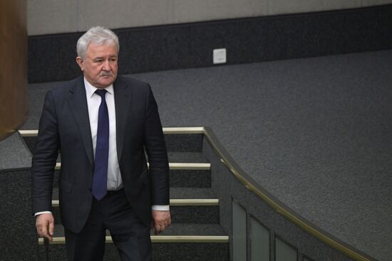 Пленарное заседание Госдумы РФ 