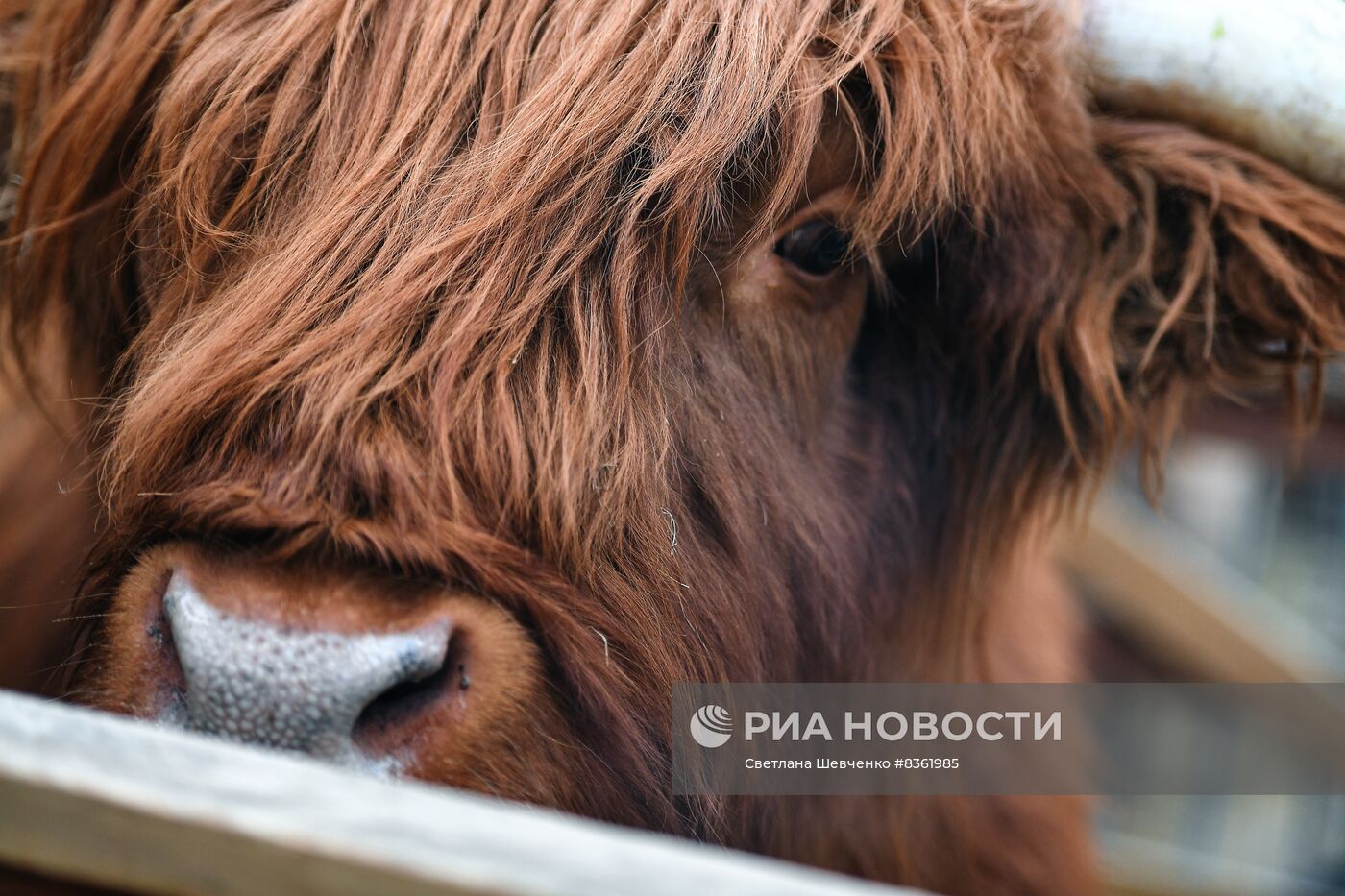 Московский зоопарк