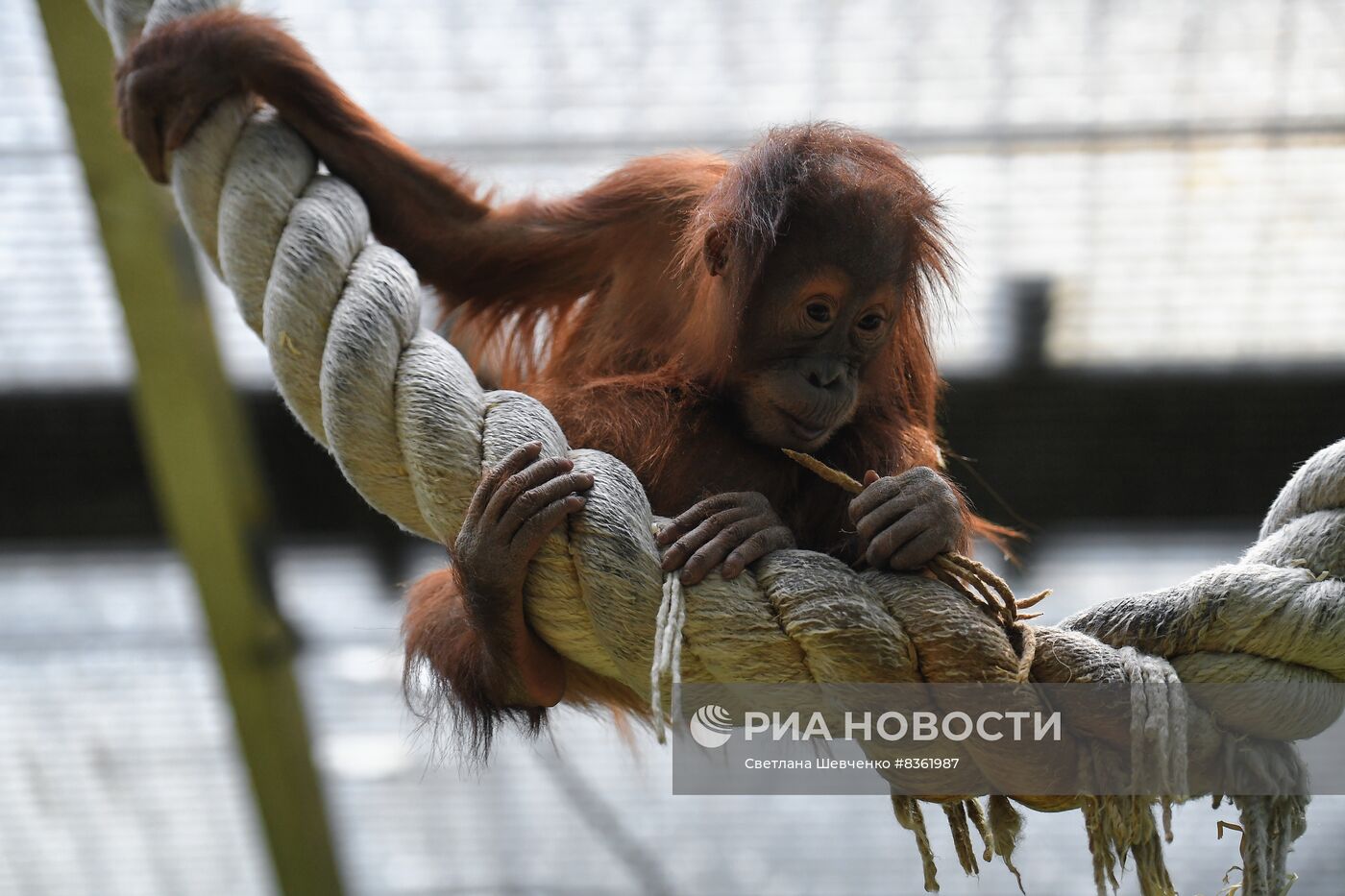 Московский зоопарк