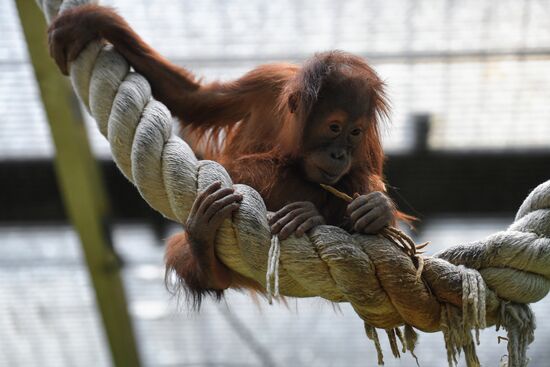 Московский зоопарк