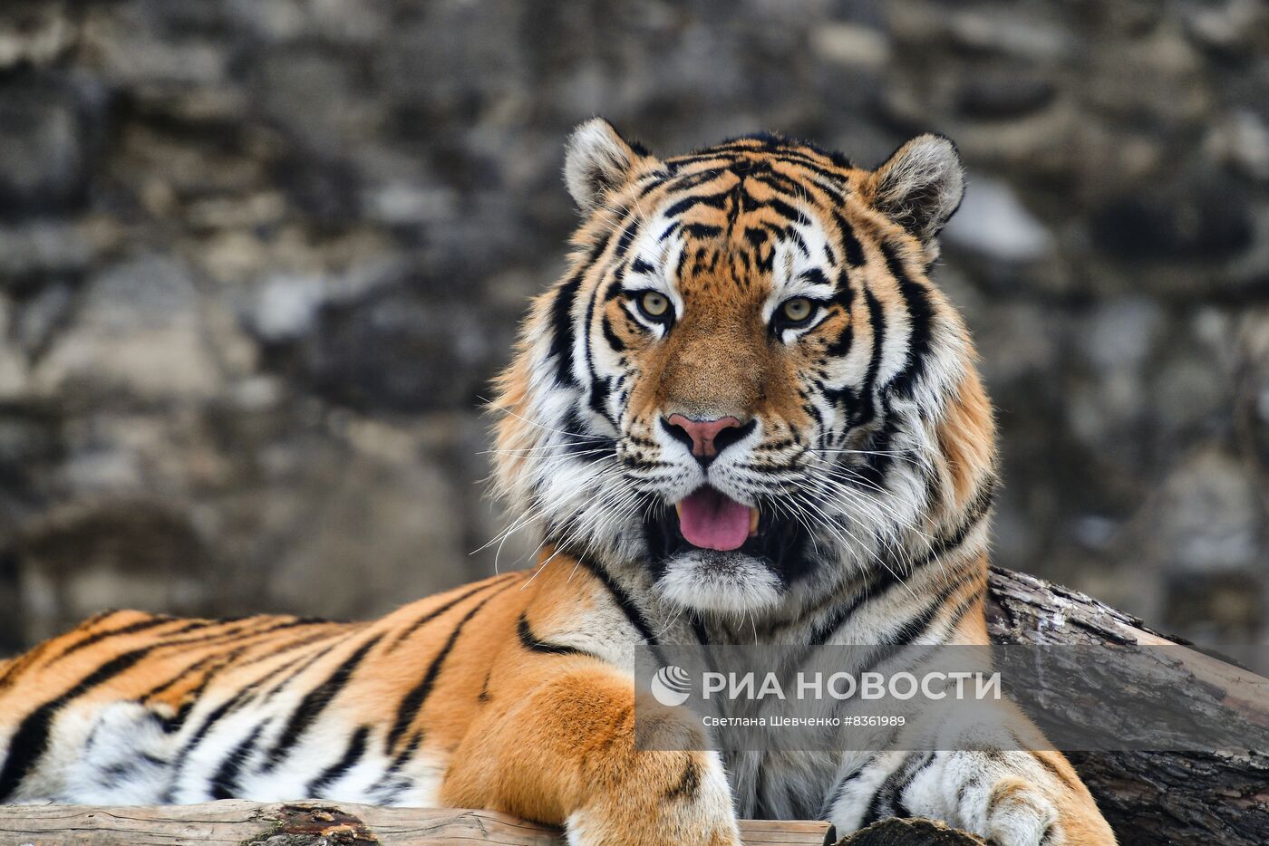 Московский зоопарк