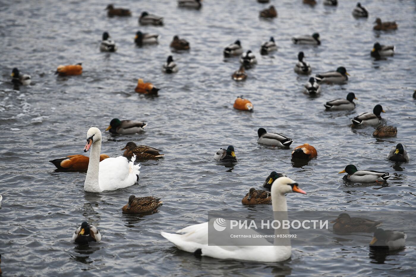 Московский зоопарк