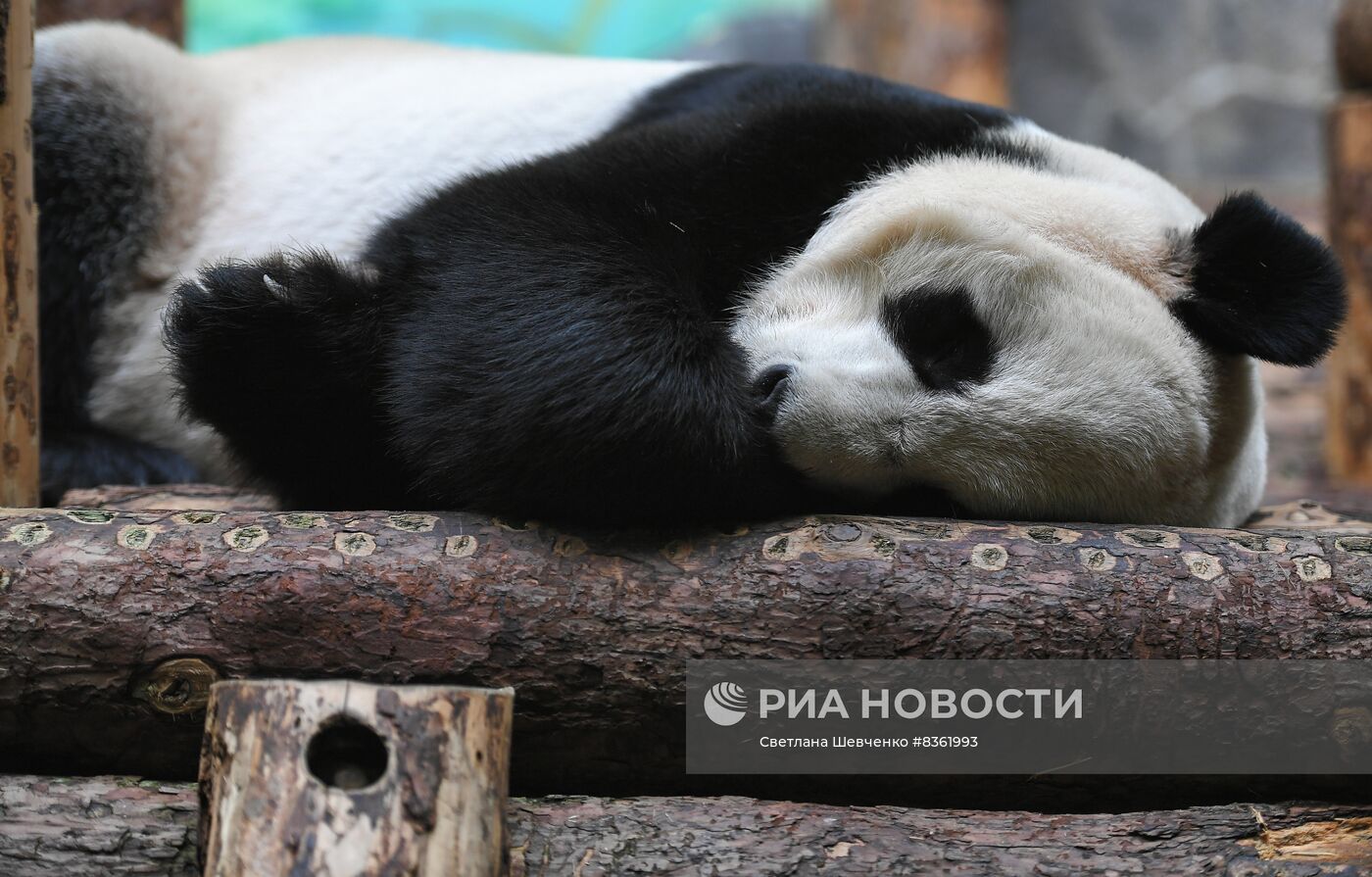 Московский зоопарк