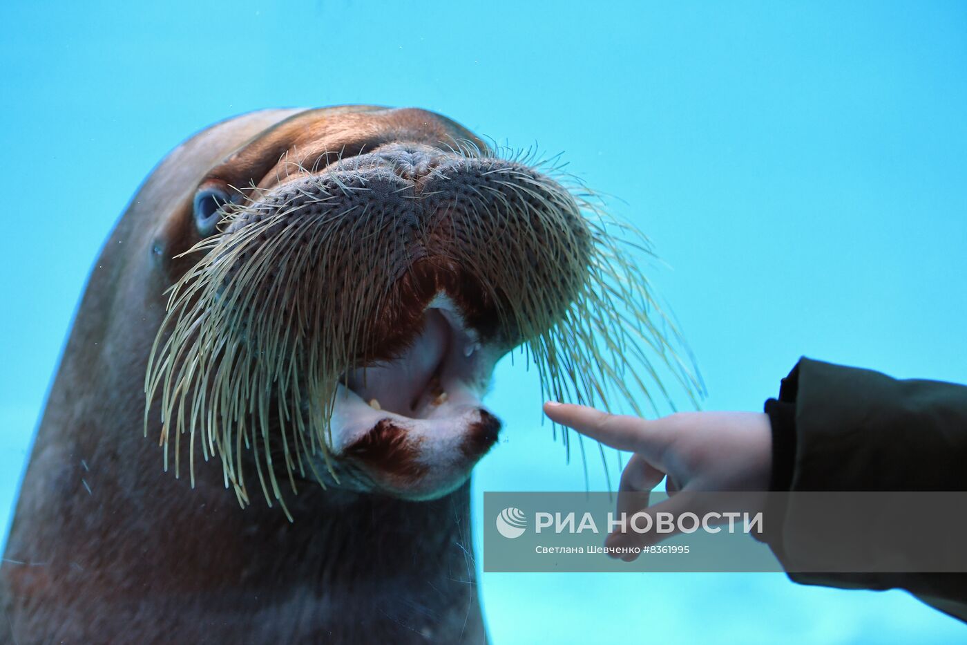 Московский зоопарк