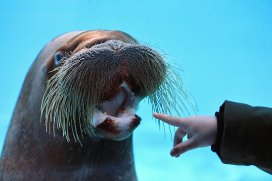 Московский зоопарк