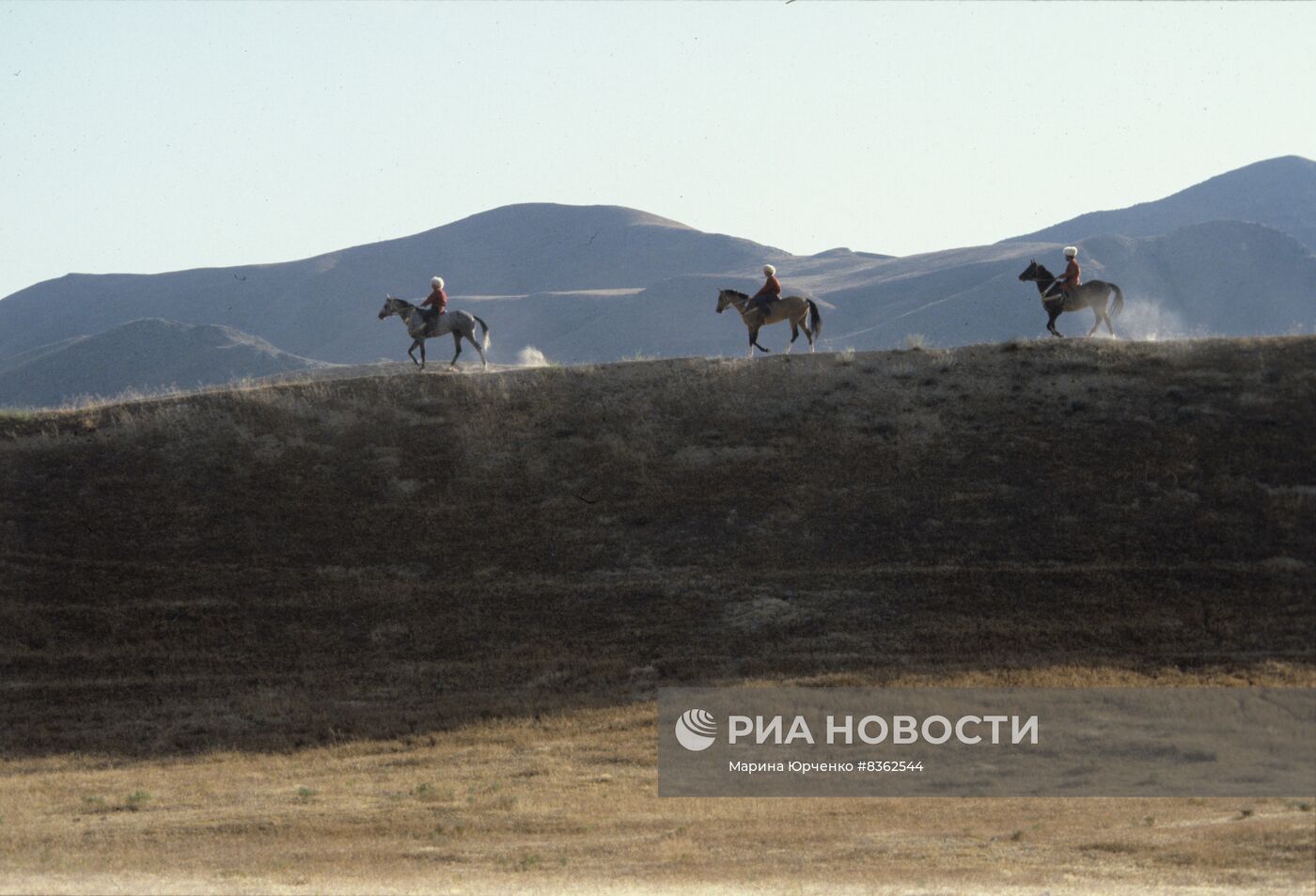 Ашхабадский племенной конный завод "Комсомол"