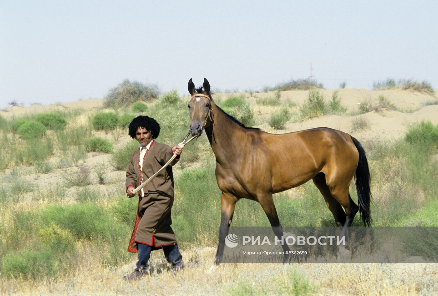 Ашхабадский племенной конный завод "Комсомол"