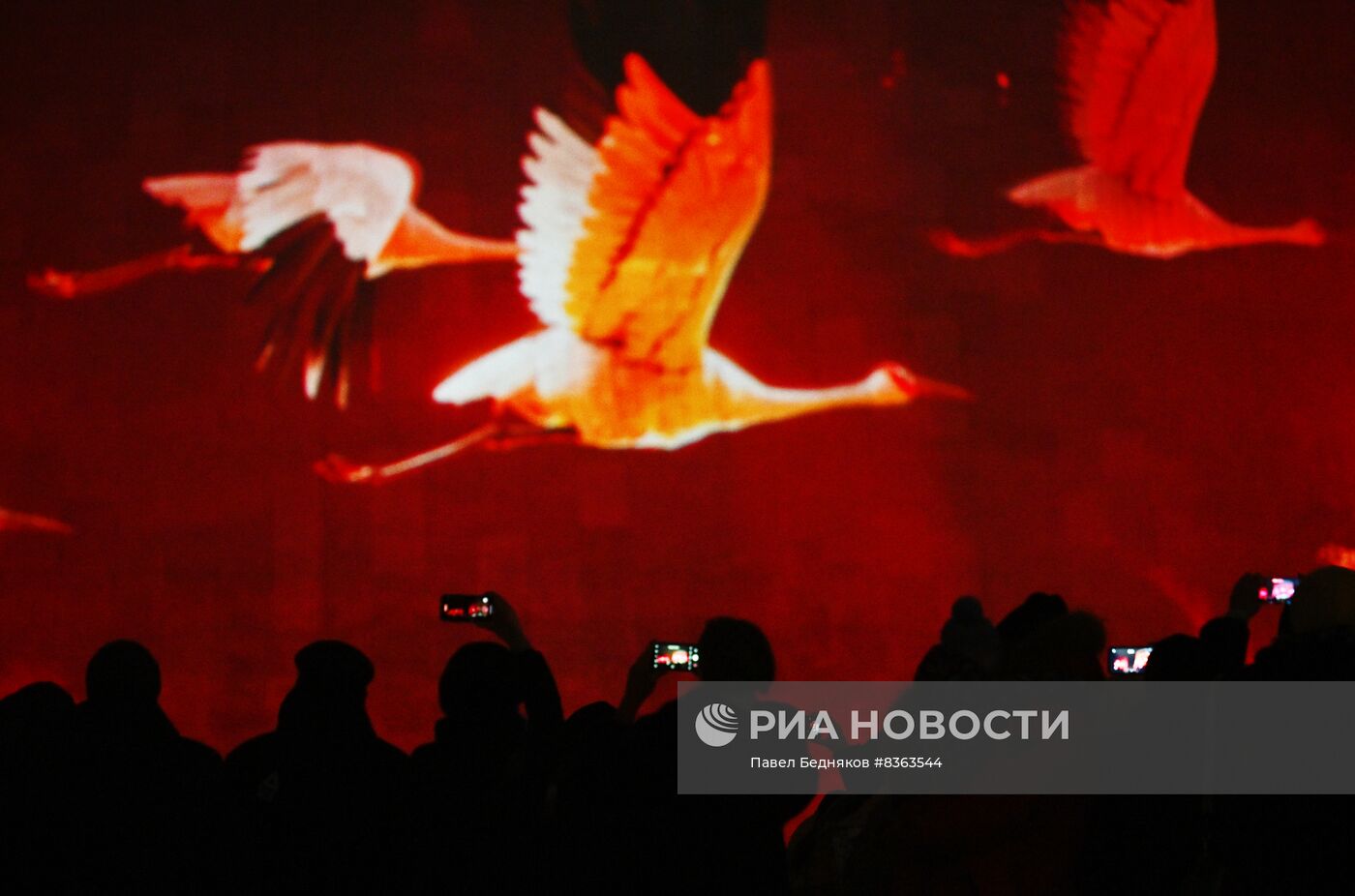 Историко-патриотический проект "Мост Памяти" в Волгограде