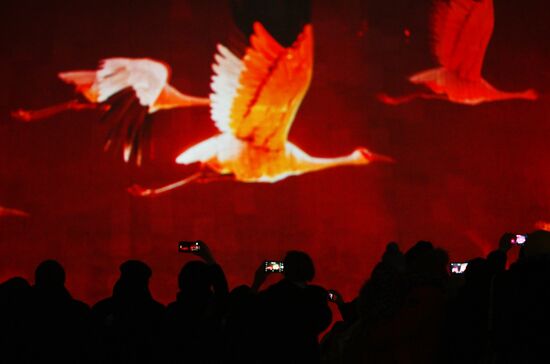 Историко-патриотический проект "Мост Памяти" в Волгограде