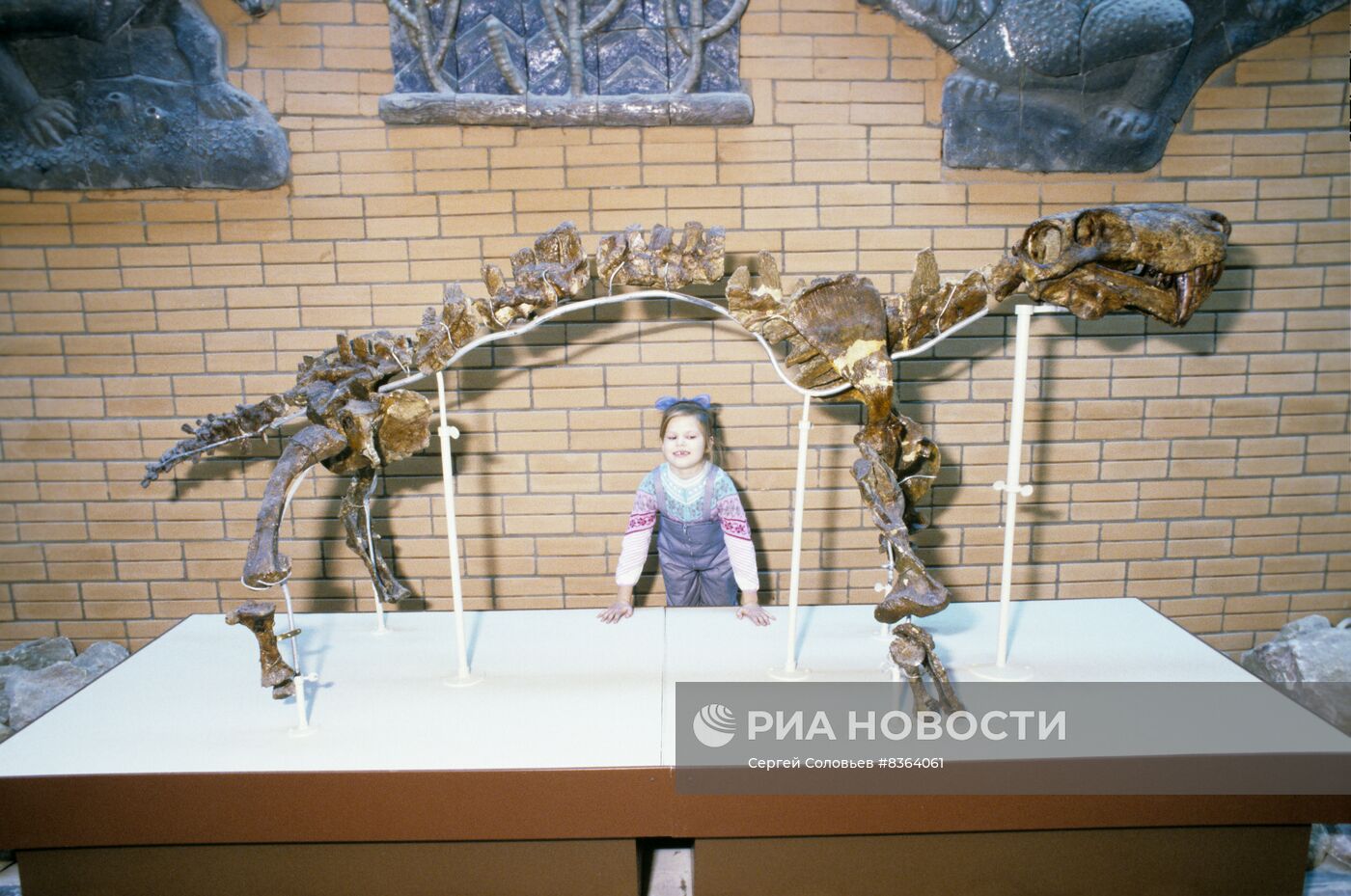 Палеонтологический музей имени Ю. А. Орлова АН СССР