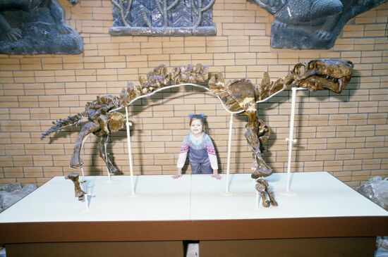 Палеонтологический музей имени Ю. А. Орлова АН СССР