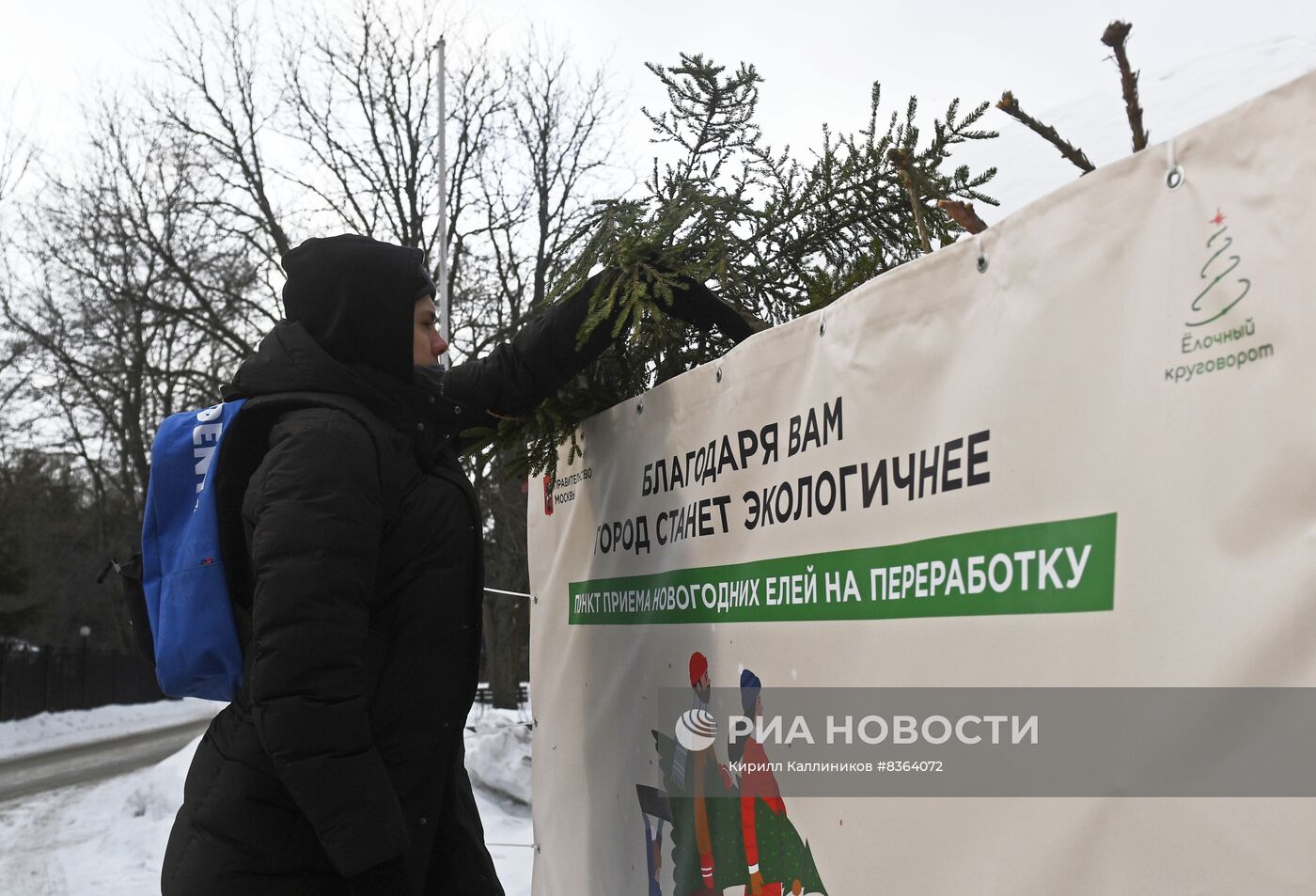Переработка и утилизация новогодних елей